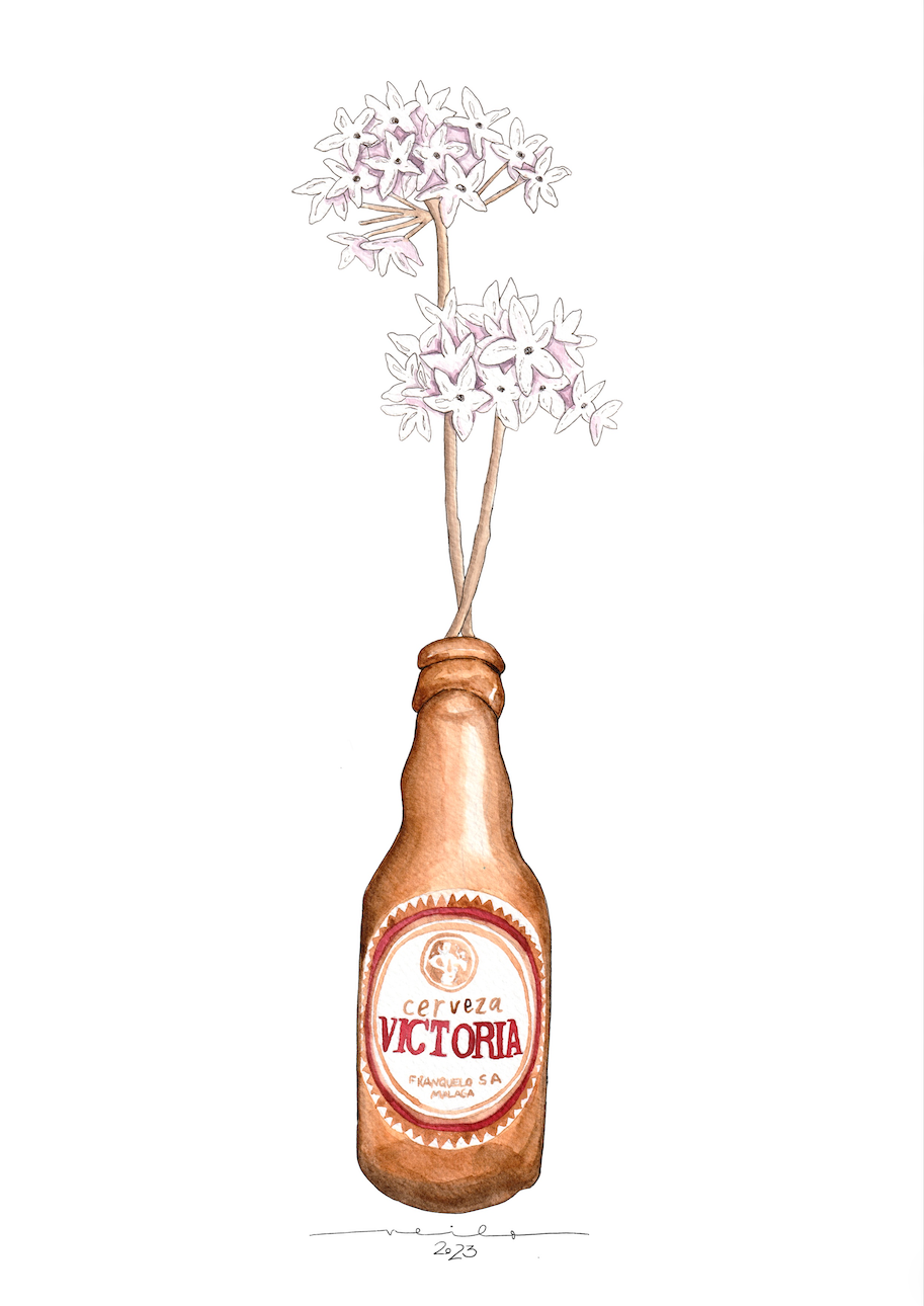 Lámina Victoria y biznaga - Botellines & Flores