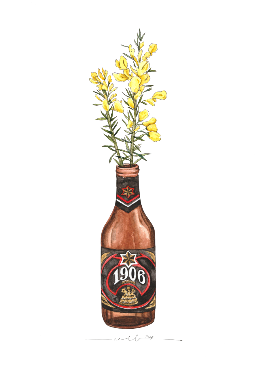 Lámina 1906 y Toxo - Botellines & Flores