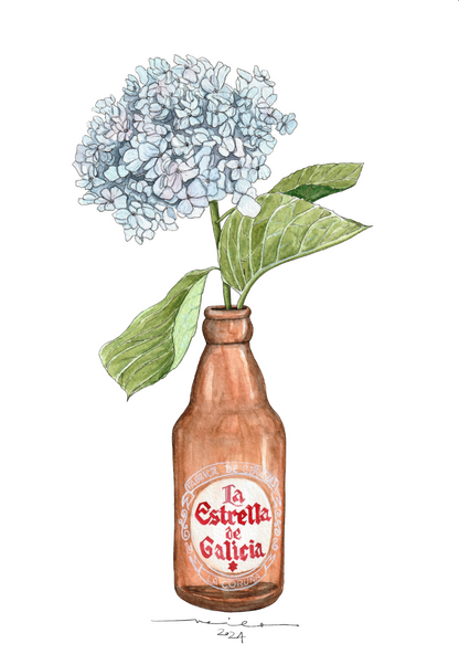 Lámina Estrella Galicia y hortensias - Botellines & Flores