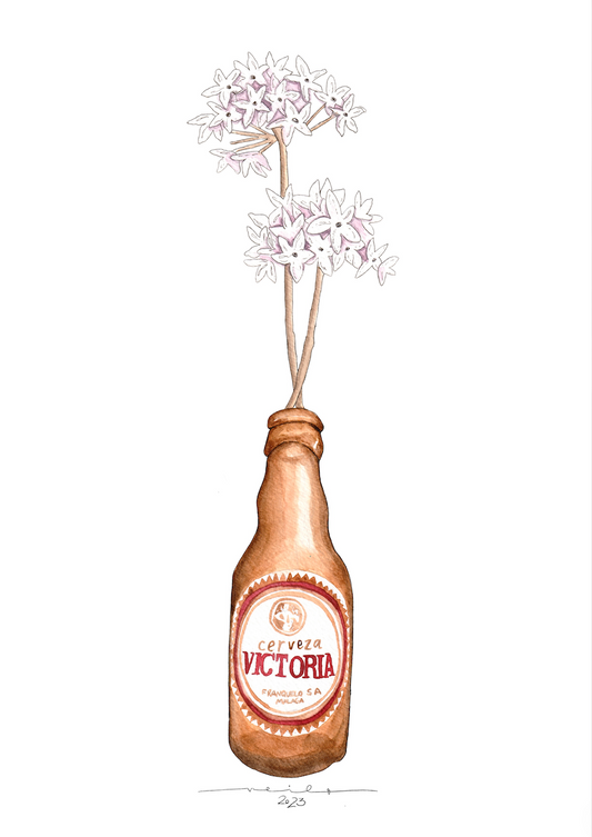 Lámina Victoria y biznaga - Botellines & Flores