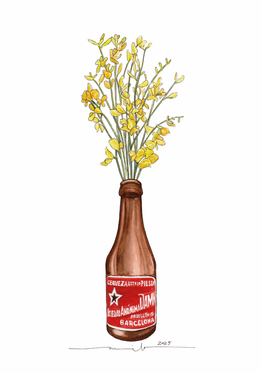 Lámina Estrella Damm y ginestas - Botellines & Flores