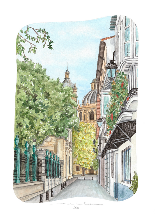 Lámina Calle Escuelas - Granada