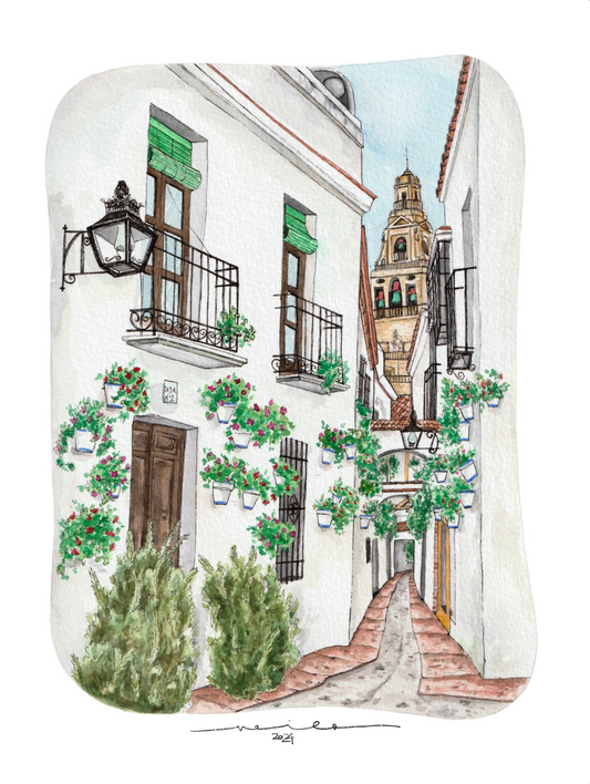 Lámina Calleja de las Flores - Córdoba
