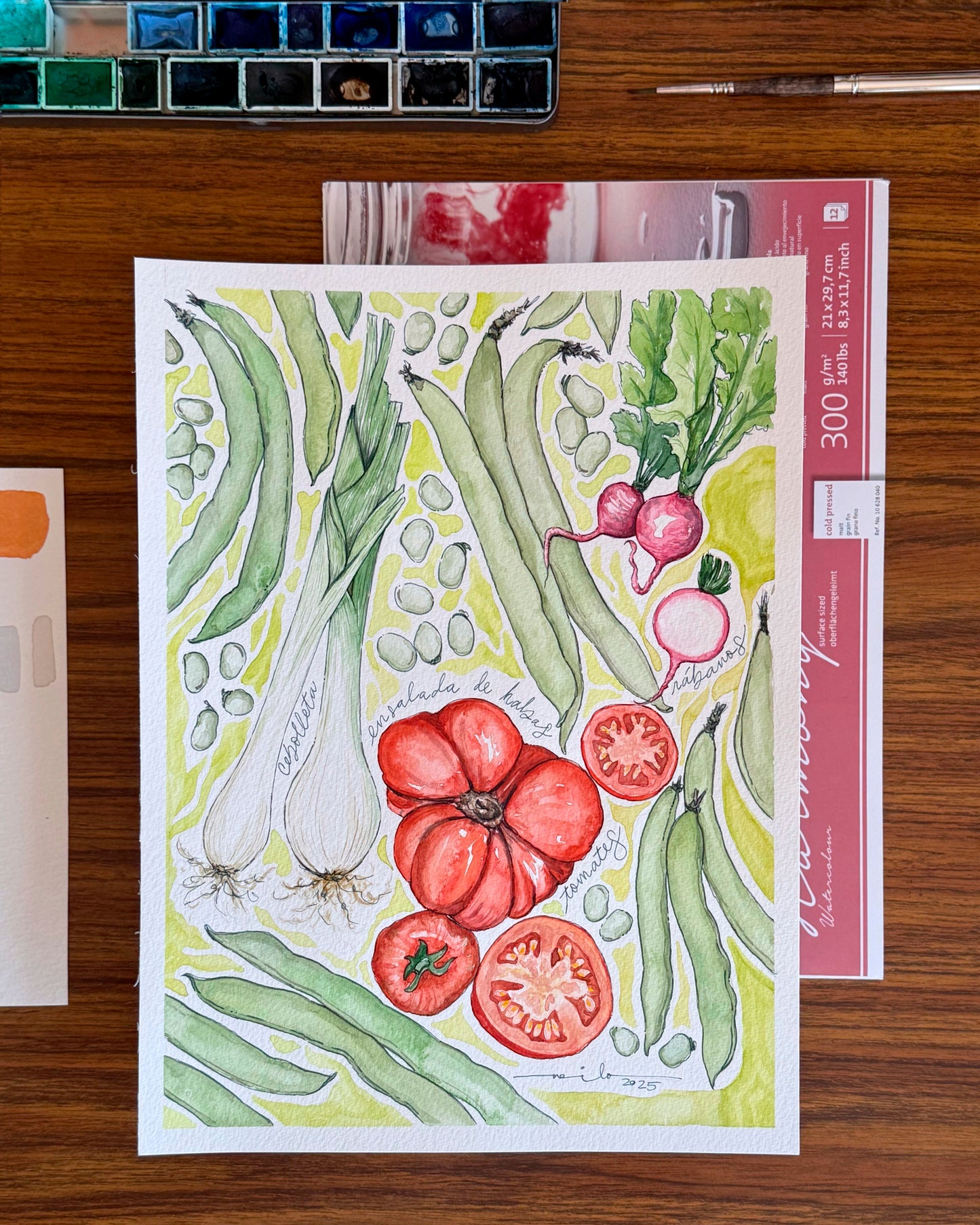 Ilustración original - Ensalada de habas